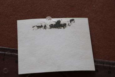 altes Foto - Leiche auf der Strasse umringt von deutschen und russischen ?  Soldaten